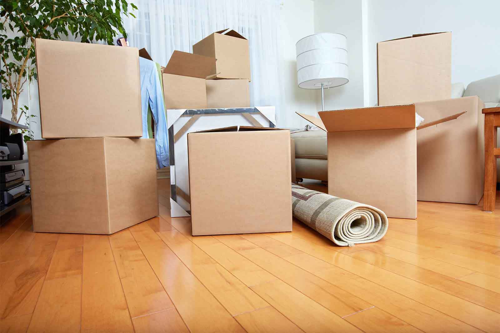 Average Cost Of Moving House In London - Professional Budgeting Guide by Special Removals London